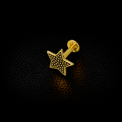 Stardust golden nosepin
