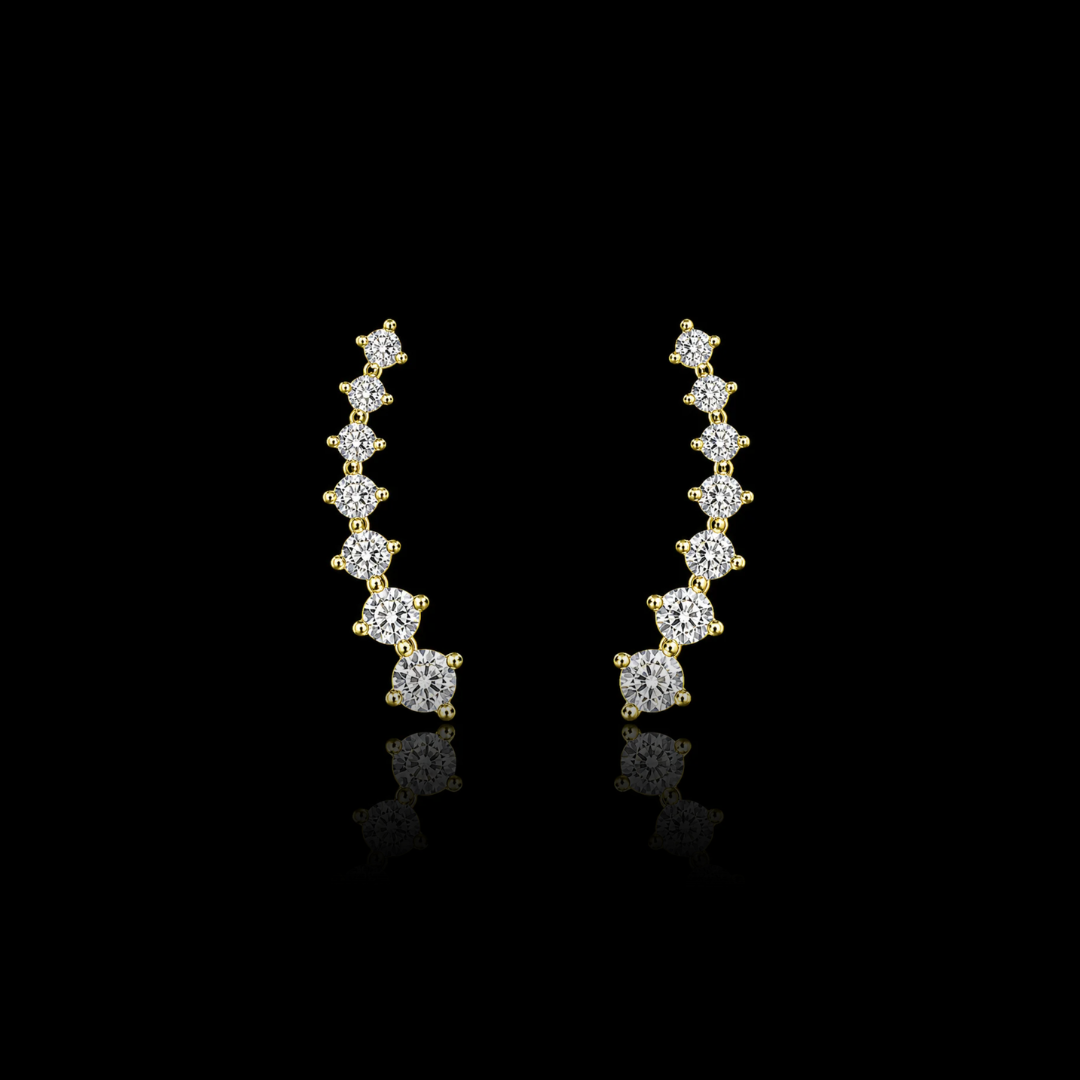 Climber Earrings Style 17