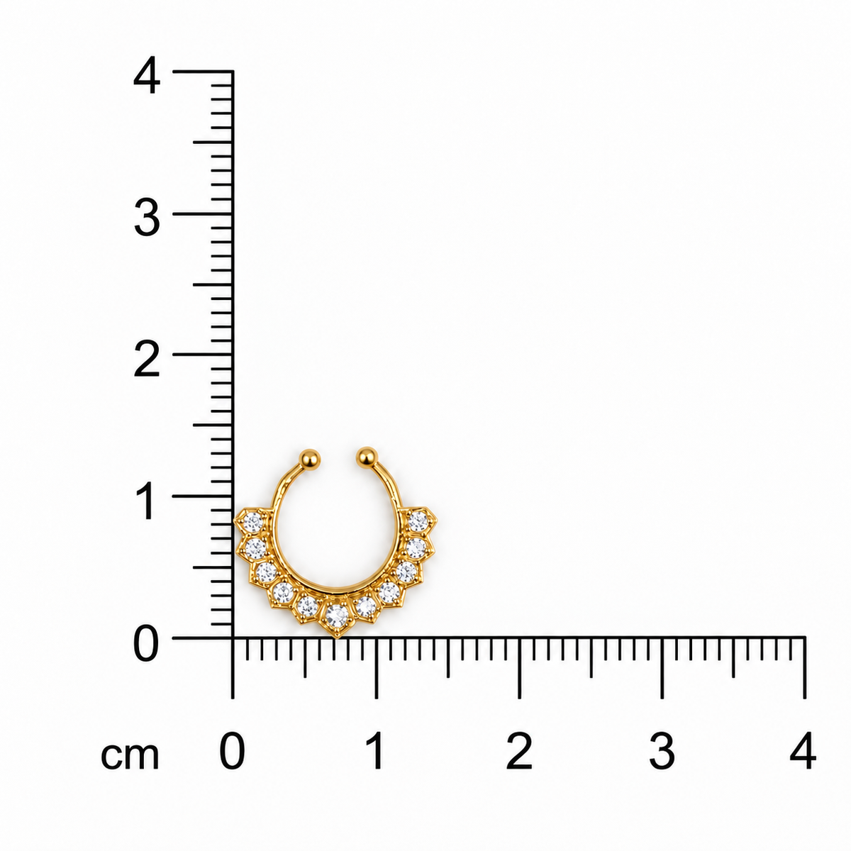 Royal Crown Golden Septum