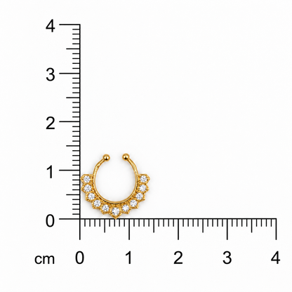Royal Crown Golden Septum